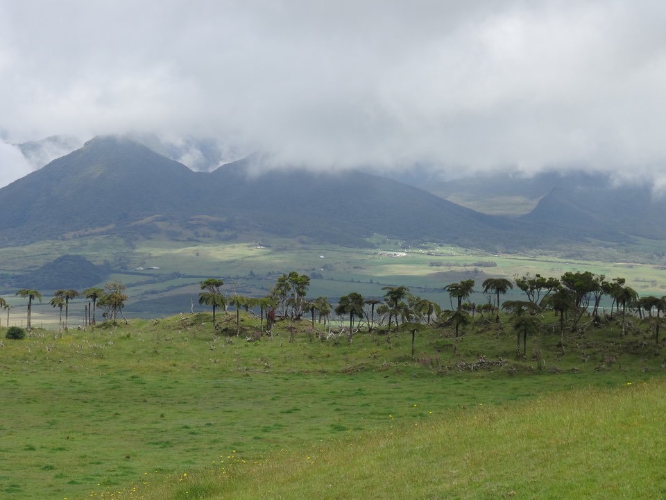 de gauche à droite, au loin / Piton Tortue, Piton Lepervenche, Piton Bleu