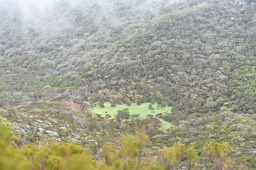 Petite aire de pique-nique