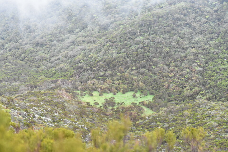 Petite aire de pique-nique