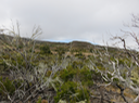 16 Paysage