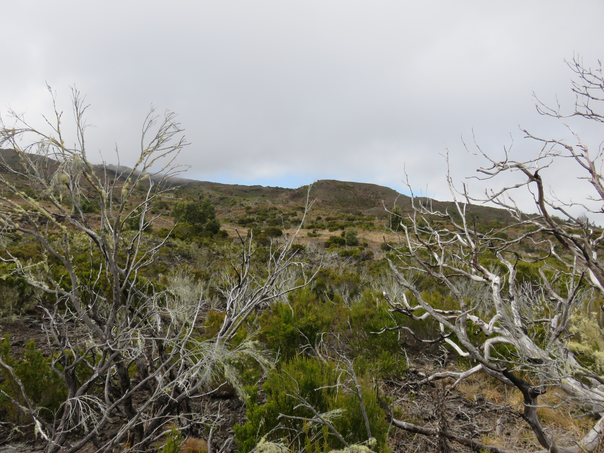 16 Paysage
