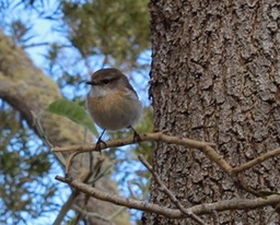 IMG_1743