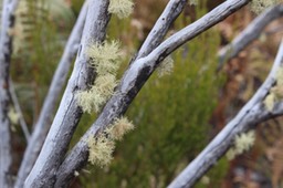 IMG_1750