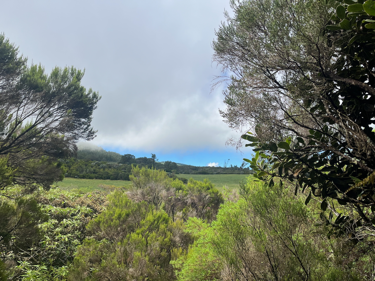 2. Vue vers le sud sur les pâtures depuis le sentier au pied du Piton Rouge