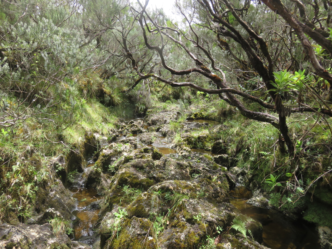 24. Dans la ravine ...             