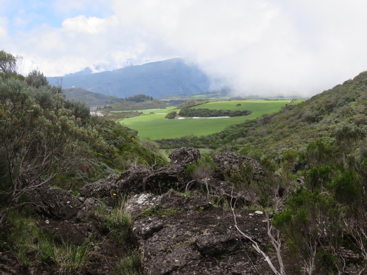 26. Cassé de ravine donnant vue sur les pâturages de la Plaine des Cafres vers le nord-ouest        