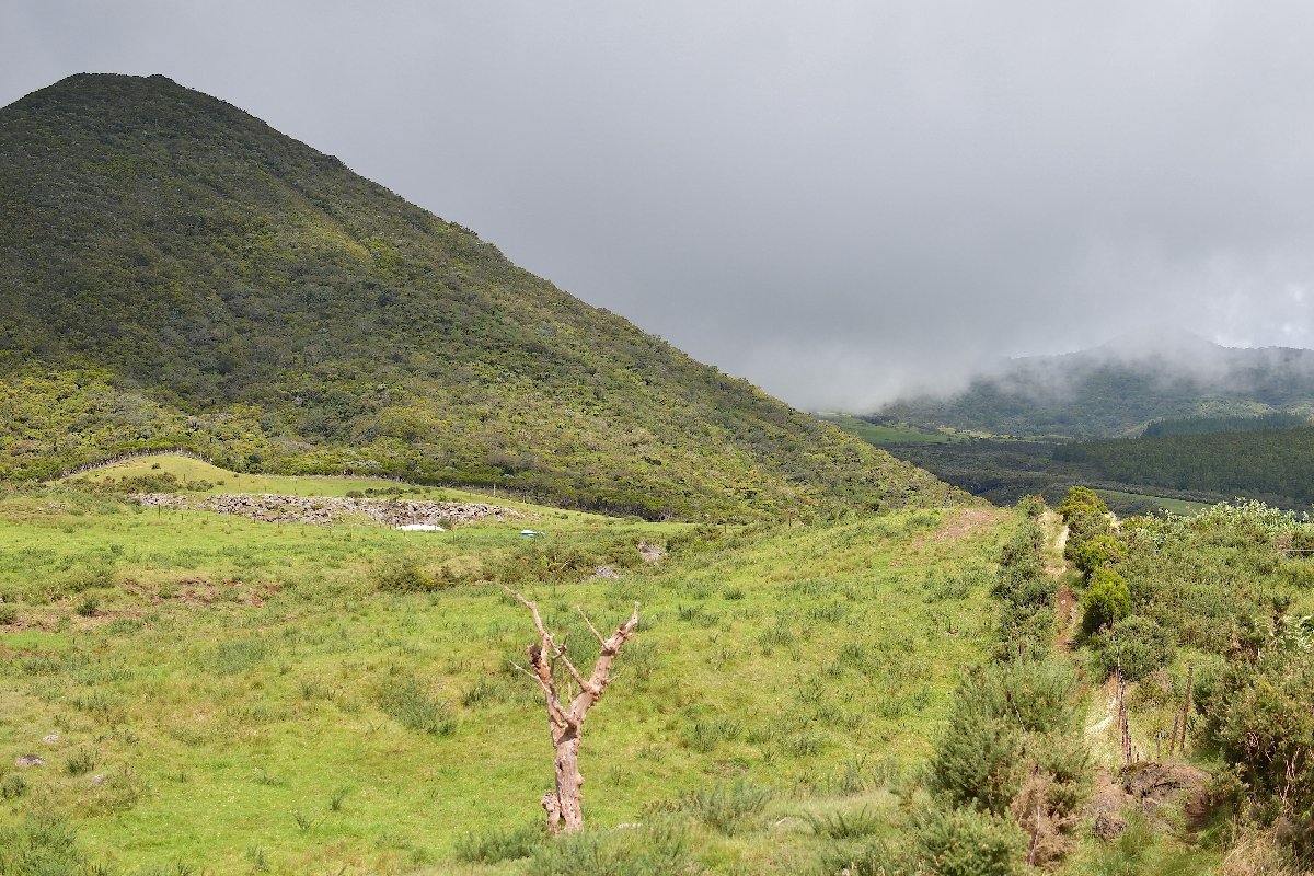 44 Piton Rouge Par le bas.