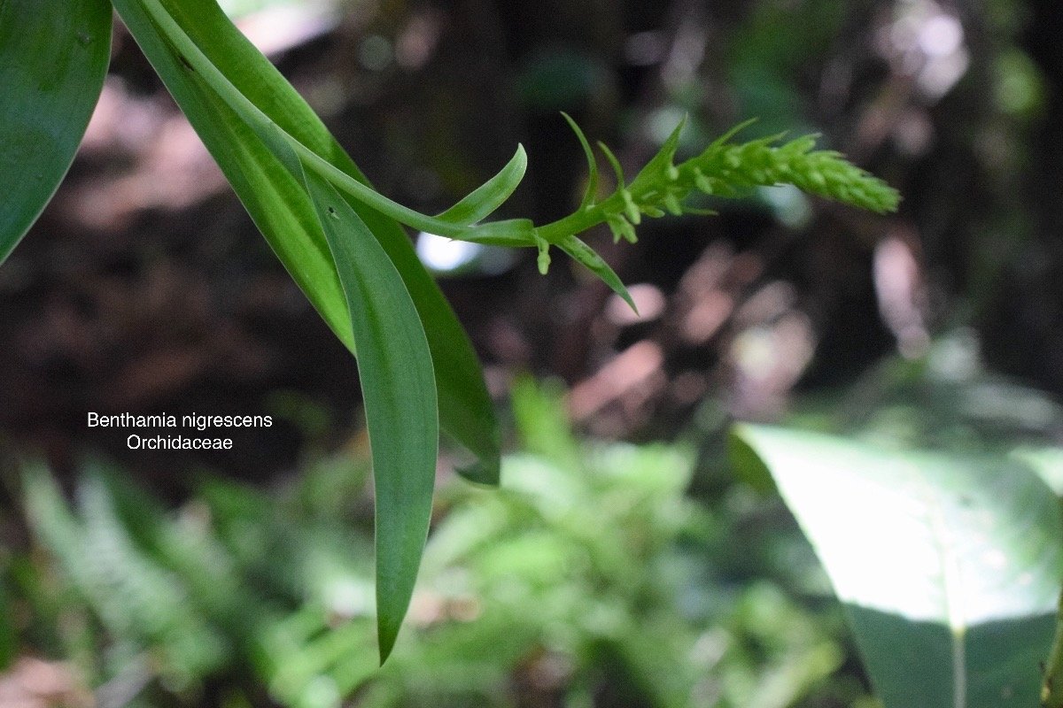 DSC_8185.jpeg