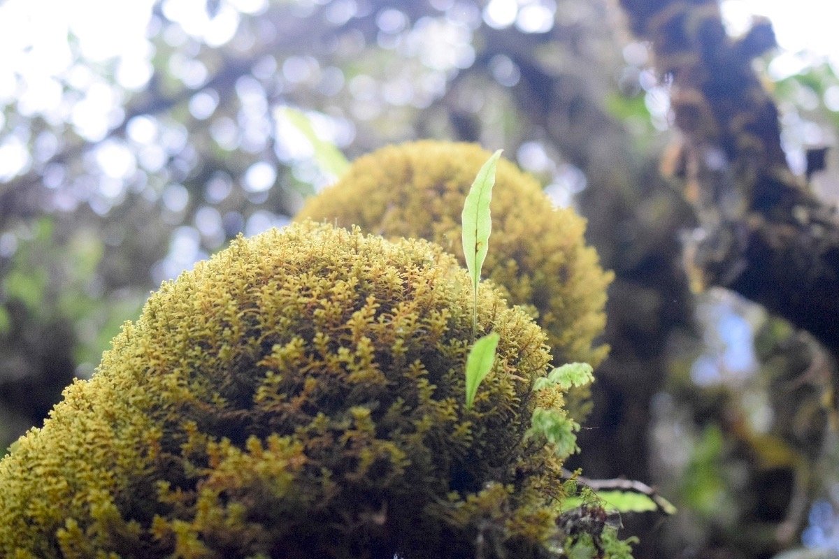 DSC_8209-2.jpeg