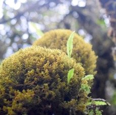 DSC_8209-2.jpeg