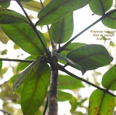 DSC_8210.jpeg