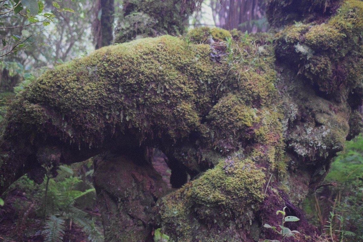 DSC_8220.jpeg