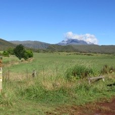 1 Depart du sentier - sous le Piton des Neiges ennuage, le Piton Tortue.jpg