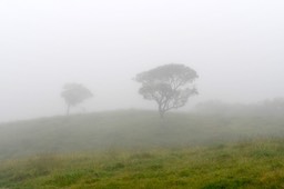 DSC_4121