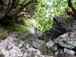 P1050978