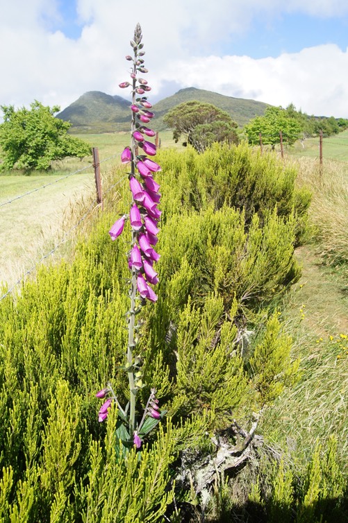 Paysage -3