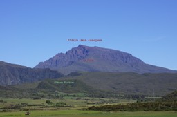 Piton Tortue