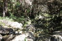 3 La Ravine à traverser pour entrer à Piton Tortue