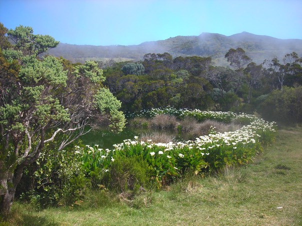23 Piton de l'Eau 