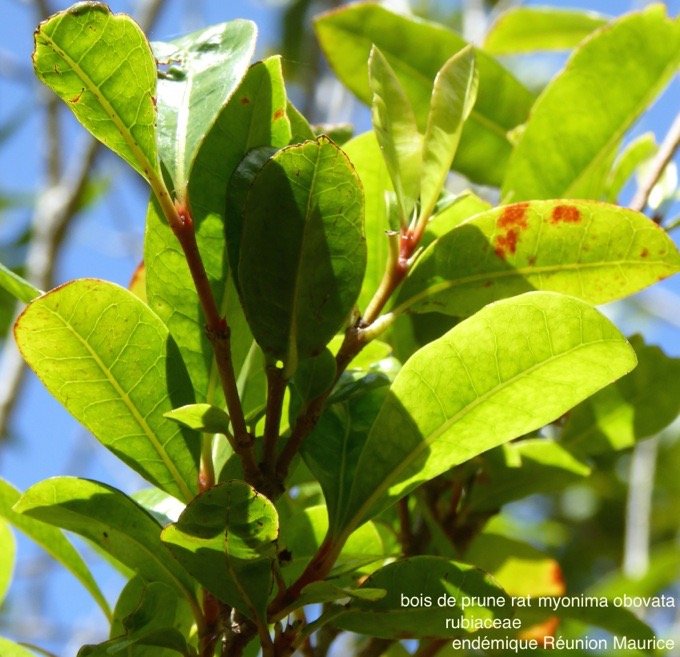 P1460318 - Version 2