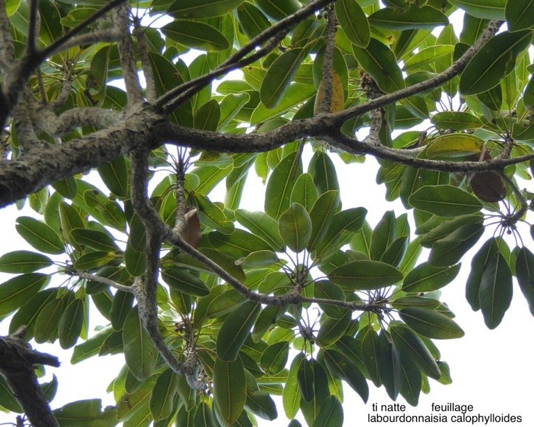 P1460477 - Version 2