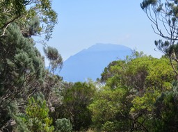 IMG_3261