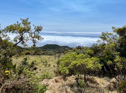 IMG_3311