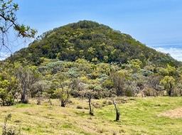 IMG_3319