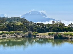 IMG_3382