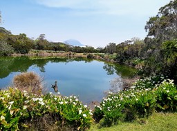 Le Piton de l'Eau++