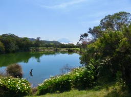 Le site