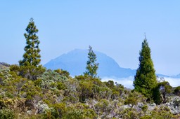 P1036050