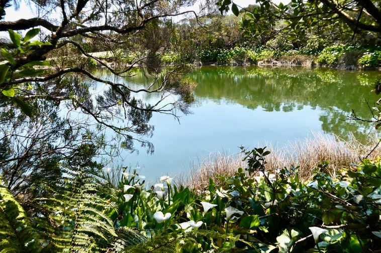 P1036280
