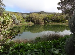 DSC04556
