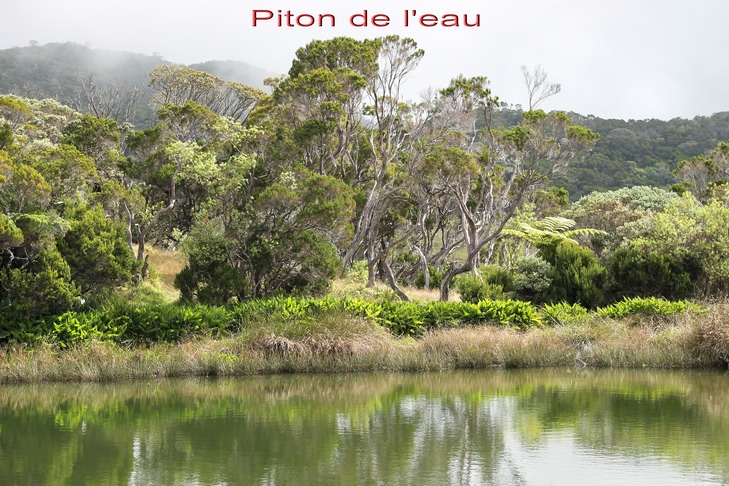 Piton de l'eau- 20 mai 2014