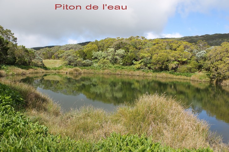 Piton de l'eau