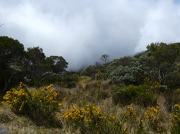 P1160946