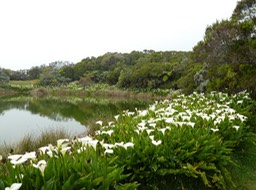 P1160958