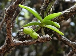 P1170035