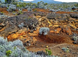 P1170080