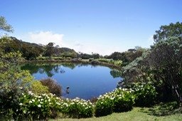 Le Piton de l'eau-1