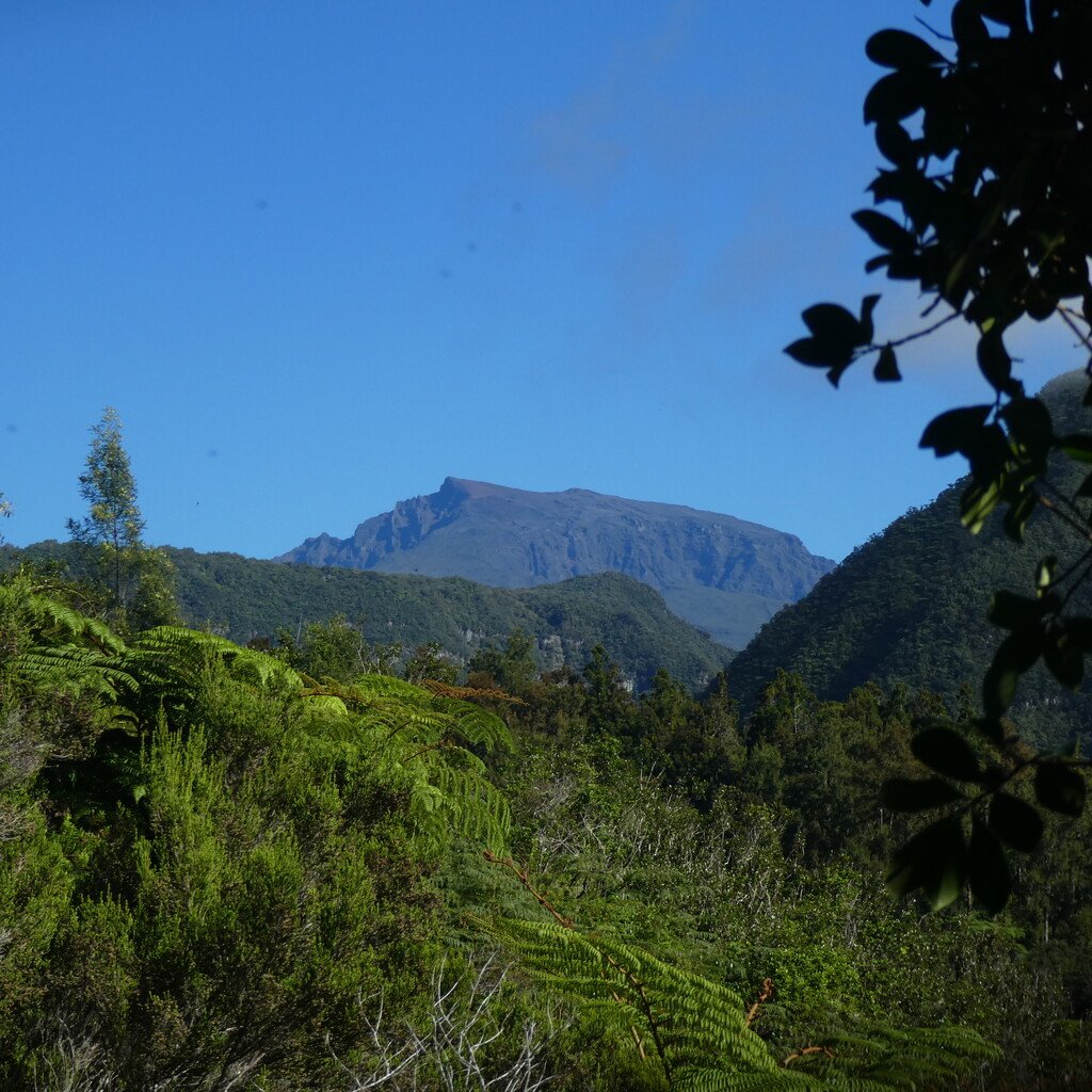 Vue sur Le Piton des Neiges