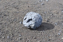 Bombe reconstituée 