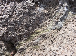 IMG_0492