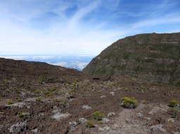 IMG_0509