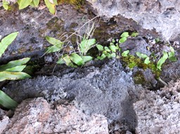 IMG_0511
