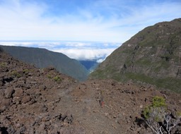 IMG_0515