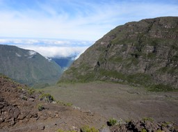 IMG_0522
