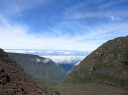 IMG_0523