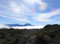 IMG_0534